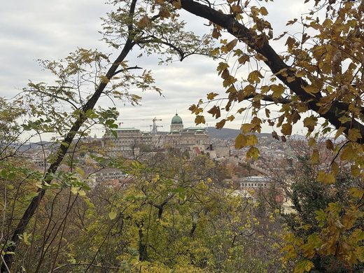 Budapest, Hungary, Buda Castle through the trees · November 2025