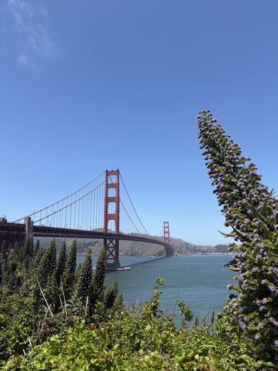 San Francisco, USA, The Golden Gate · May 2026